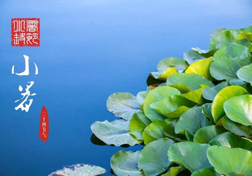 1594795686109098.jpg 1.jpg