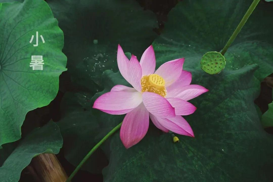 1594795721343522.jpg 2.jpg