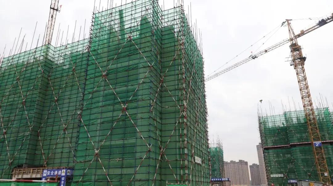 1624412928127107.jpg 24.jpg