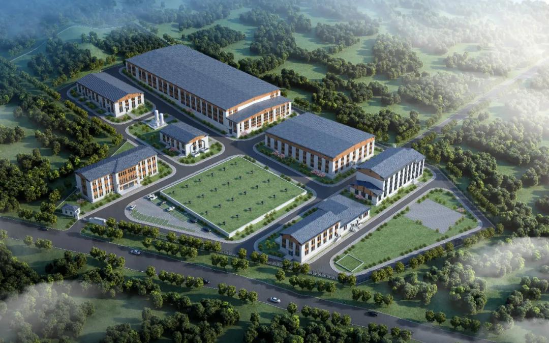 1628747545241150.jpg 13.jpg